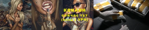 спиды Богданович