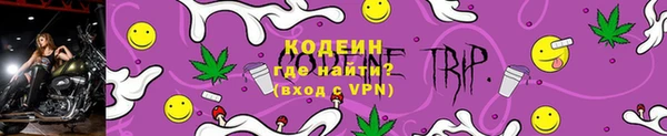 спиды Богданович