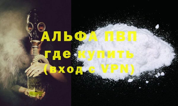 спиды Богданович