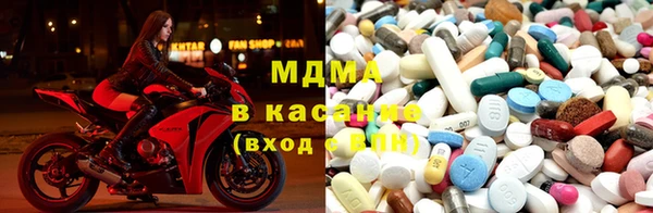 спиды Богданович