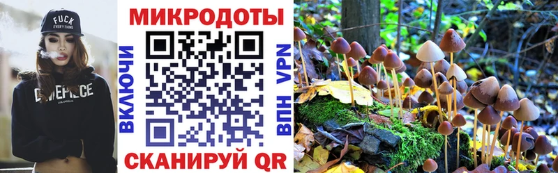 цены наркотик  Кореновск  Галлюциногенные грибы Magic Shrooms 
